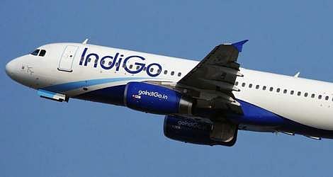 <em>IndiGO</em>