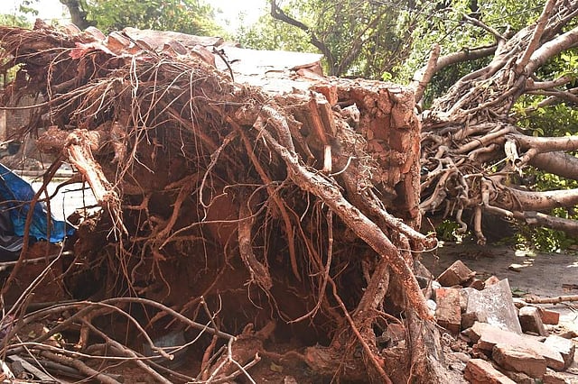 The devastations of Amphan captured by Agarwala