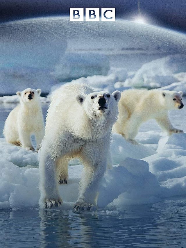 Still from <em>Frozen Planet</em>
