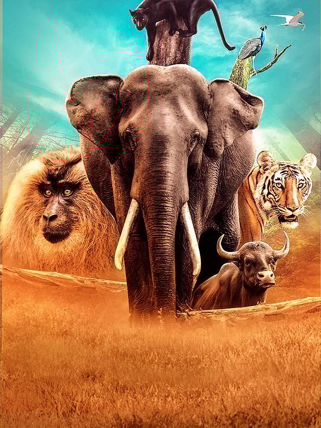 Still from Wild Karnataka 