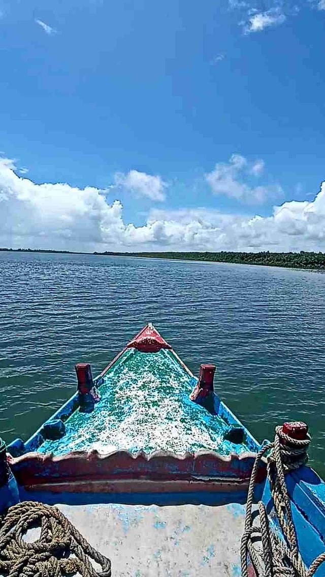Boat ride on <em>Matla River</em>