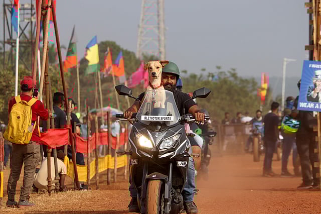 It is not uncommon to see pets take part in the biking festival!