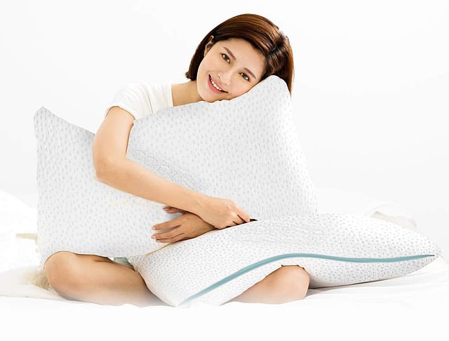 <em>SnowTec Adjustable pillow, The Sleep Company, Mumbai</em>