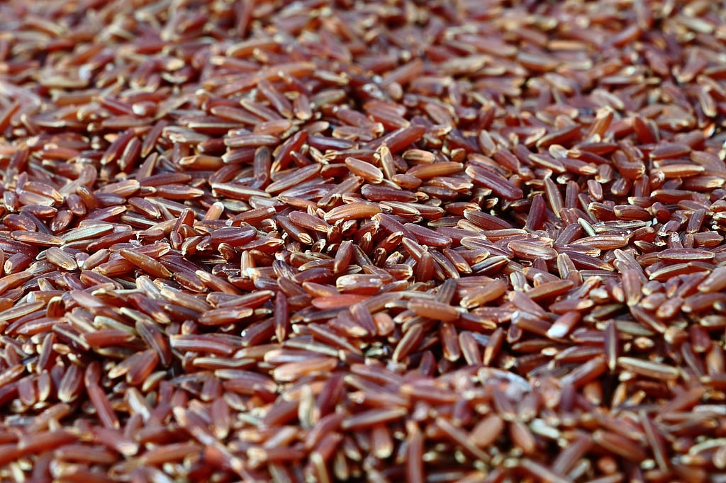 From Basmati to Black rice: A guide to the world’s diverse rice varieties