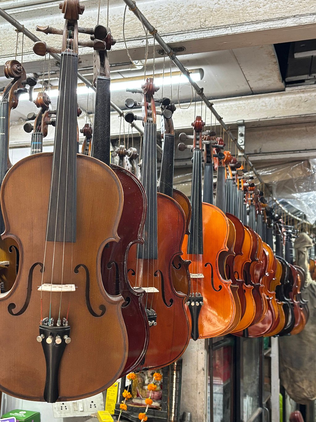 Back in time: How are Kolkata’s iconic instrument shops doing now?