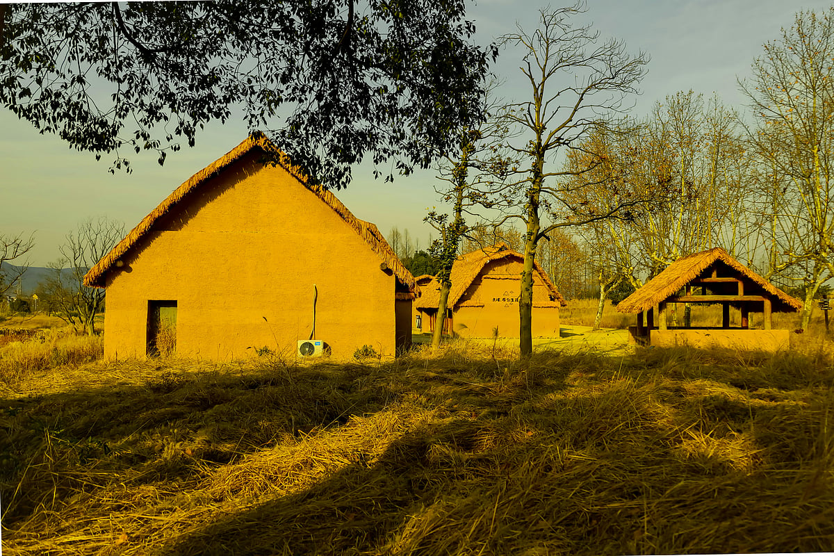 Why mud was used to coat the walls of homes
