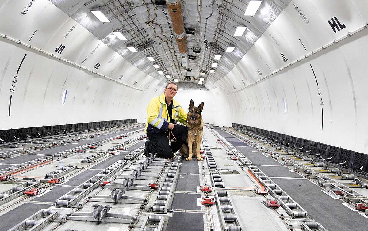 6 airports that offer the best transit & cargo facilities for pets